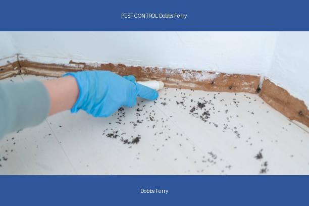 PEST CONTROL Dobbs Ferry